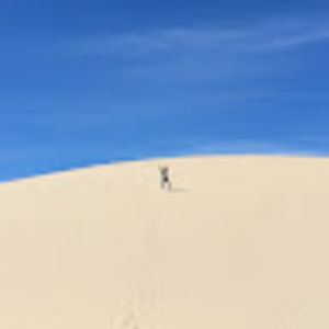 Meet your Posher, Scott